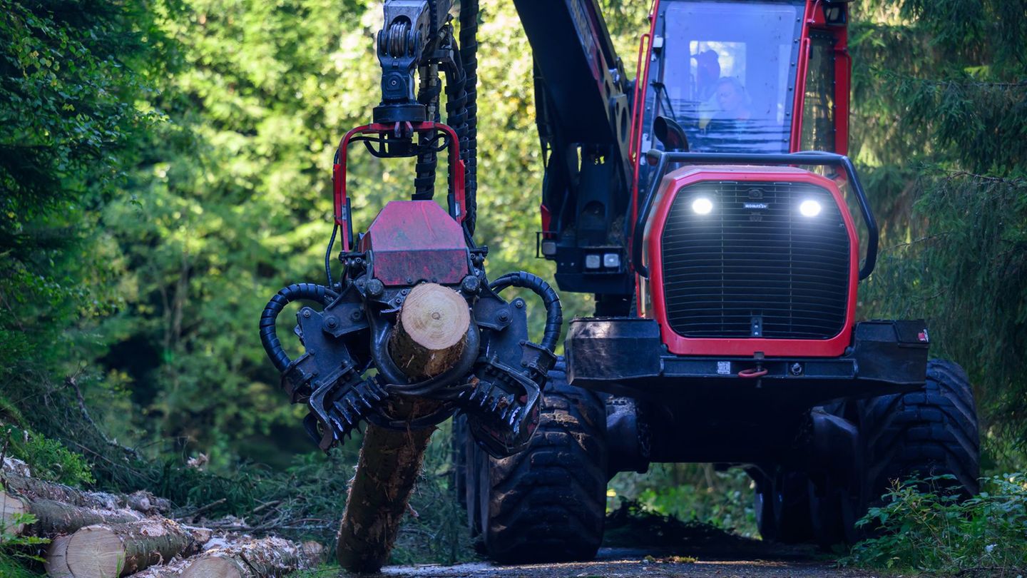 Feuer bei Olbersdorf: Harvester brennt im Zittauer Gebirge - 300.000 Euro Schaden
