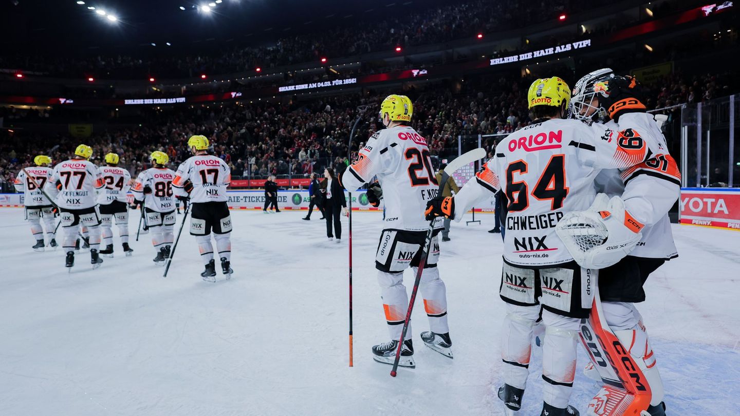 Eishockey: Löwen Frankfurt: Neue Nummer eins im Tor verpflichtet