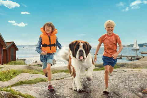 Wie der zugrundeliegende Roman von Astrid Lindgren erzählt die neue Serie "Unsere Ferien auf Saltkrokan" von den Abenteuern, die Tjorven (Vega Åhman), der Hund Bootsmann und Pelle (Elton Larsson) im Stockholmer Schärengarten erleben.