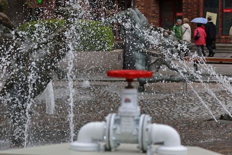 Am 1. April wird in Rostock die Brunnensaison eingeläutet. (Archivbild) Foto: Bernd Wüstneck/dpa