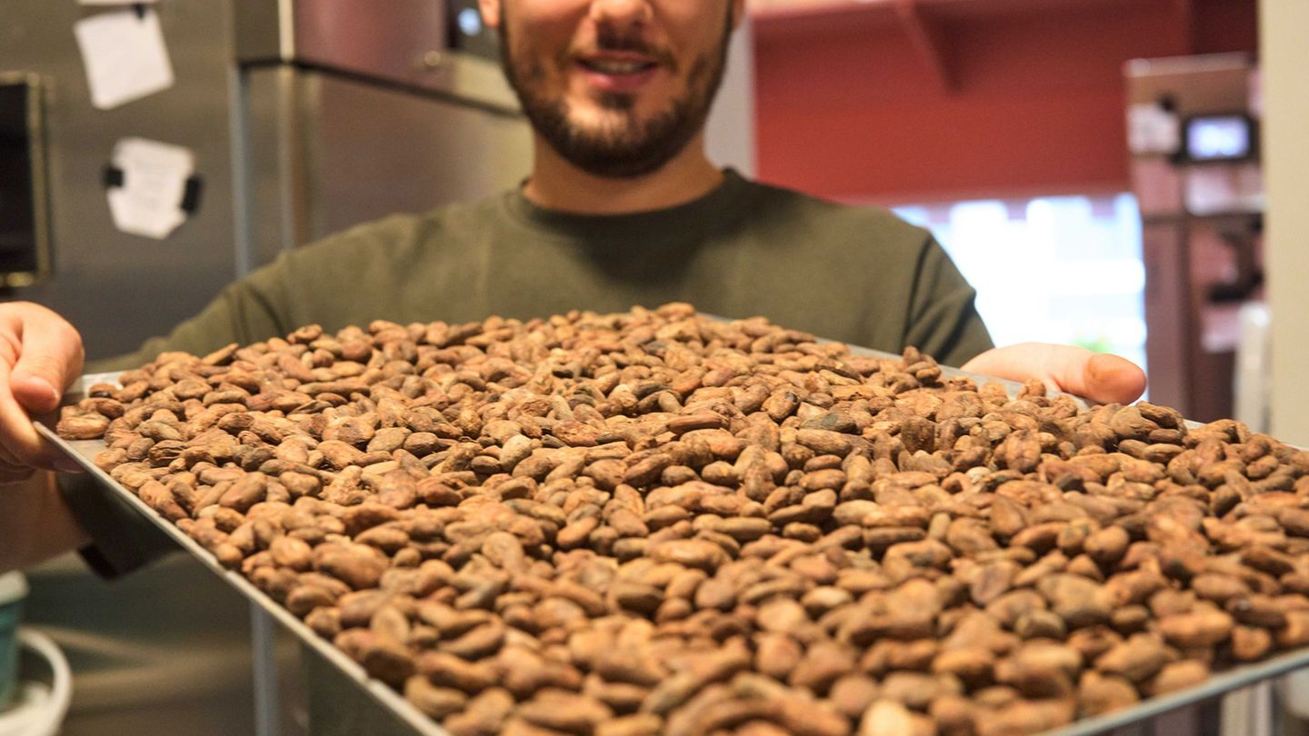 Teure Bohne: Süßer Luxus? – Was die Preise für Osterschokolade treibt