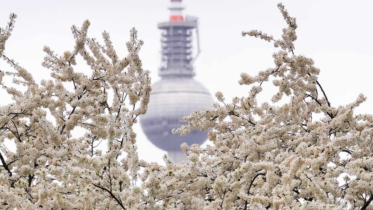 Wetter vor Ostern: Frostige Nächte und Wechselwetter in Berlin und Brandenburg