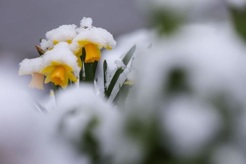 Am Mittwoch kann in höheren Lagen sogar etwas Schnee fallen. (Symbolbild) Foto: Thomas Warnack/dpa