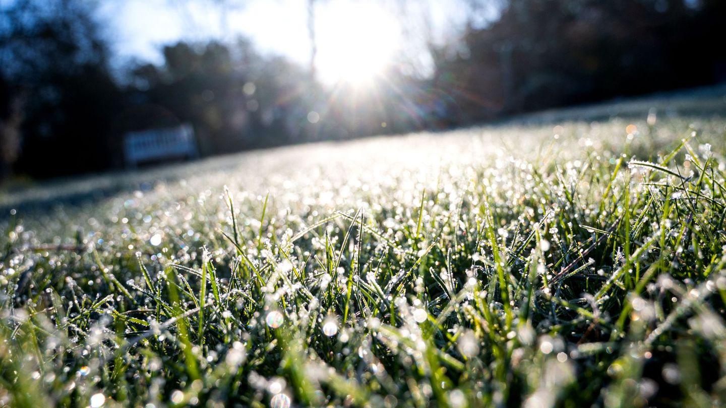 Wetter: Frostiges Frühlingswetter in Rheinland-Pfalz und Saarland