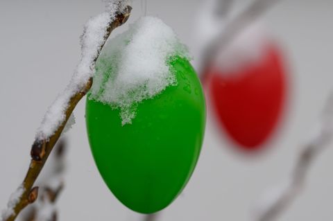 Schnee liegt auf bereits aufgehängten Ostereiern. (Symbolbild) Foto: Hendrik Schmidt/dpa