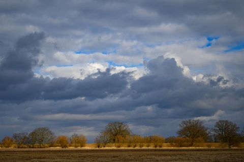 Regenwolken verdecken die Sonne. (Symbolbild) Foto: Patrick Pleul/dpa