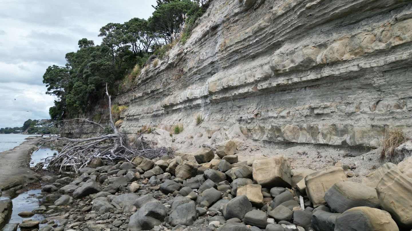 Felsige Landschaft in Neuseeland