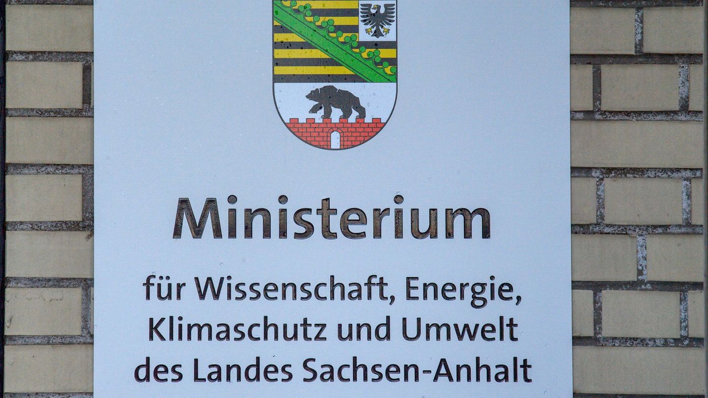 Sachsen-Anhalt: Zu wenig Chefinnen? Linke pocht auf Frauenquote