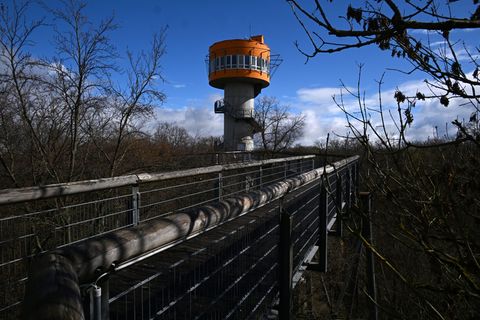 Naturerlebnis auf dem Baumkronenpfad im Nationalpark Hainich. Foto: Martin Schutt/dpa
