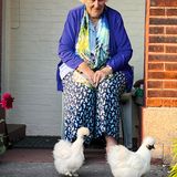 Zwei Seidenhühner vor den Füßen der Großmutter