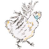 Illustration einer Weißen Seidenhuhn-Henne