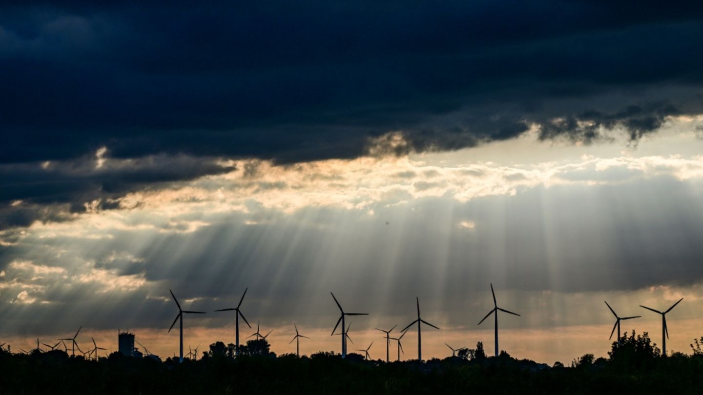 Erneuerbare decken rund 56 Prozent des Stromverbrauchs