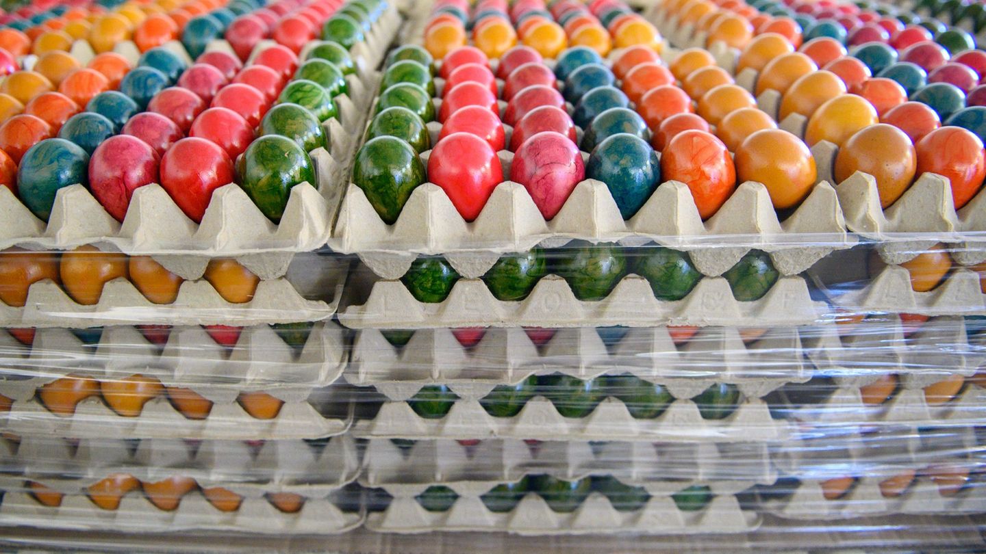 Millionen von Eiern haben die Hennen in Thüringens Betriebe im vergangenen Jahr gelegt. (Symbolbild) Foto: Klaus-Dietmar Gabbert