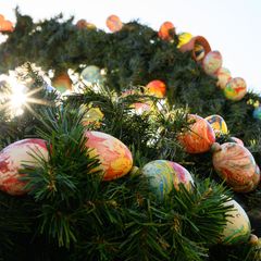 Die Chancen auf viel Sonnenschein sind bundesweit wohl am Montag am höchsten. Foto: Sebastian Gollnow/dpa