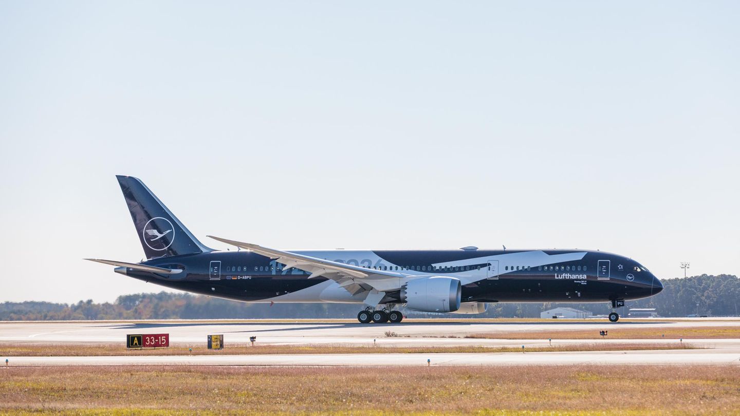 Eine Lufthansa Boeing 787 in der Sonderlackierung mit einem Bild des Kranichs über die Länge des Rumpfes