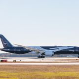 Eine Lufthansa Boeing 787 in der Sonderlackierung mit einem Bild des Kranichs über die Länge des Rumpfes