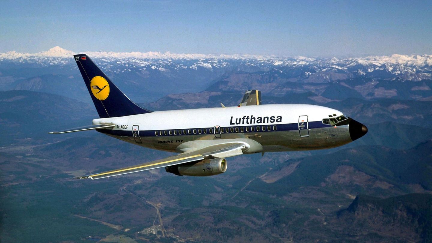 Eine Lufthansa Boeing 737 im Flug