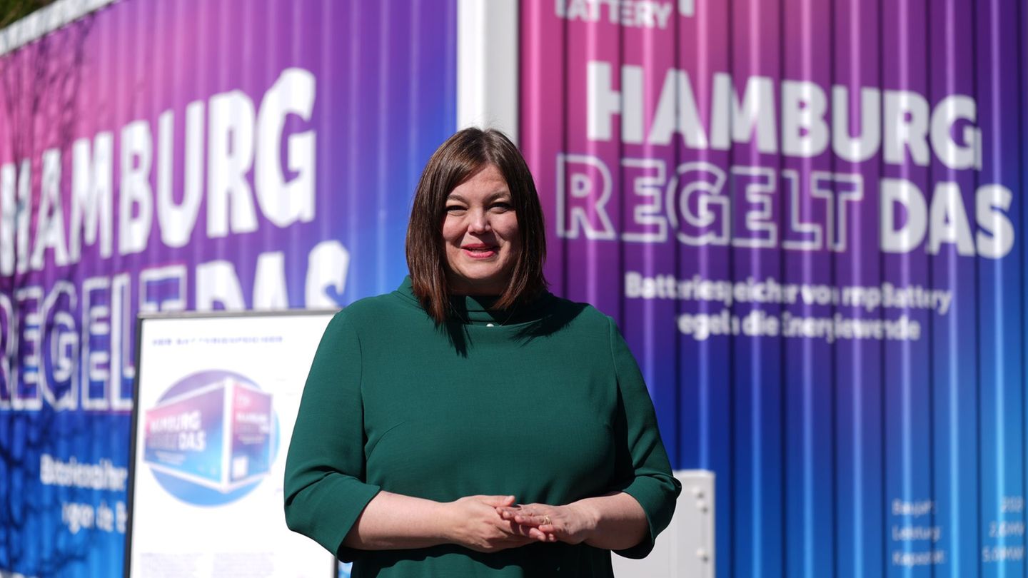 Energiesenatorin Fegebank (Grüne) sagte, der neue Speicher werde helfen, Strom dann verfügbar zu machen, wenn er gebraucht werde