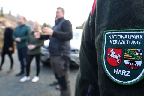 Zum April hat die Waldbrandsaison im Oberharz begonnen. Foto: Matthias Bein/dpa