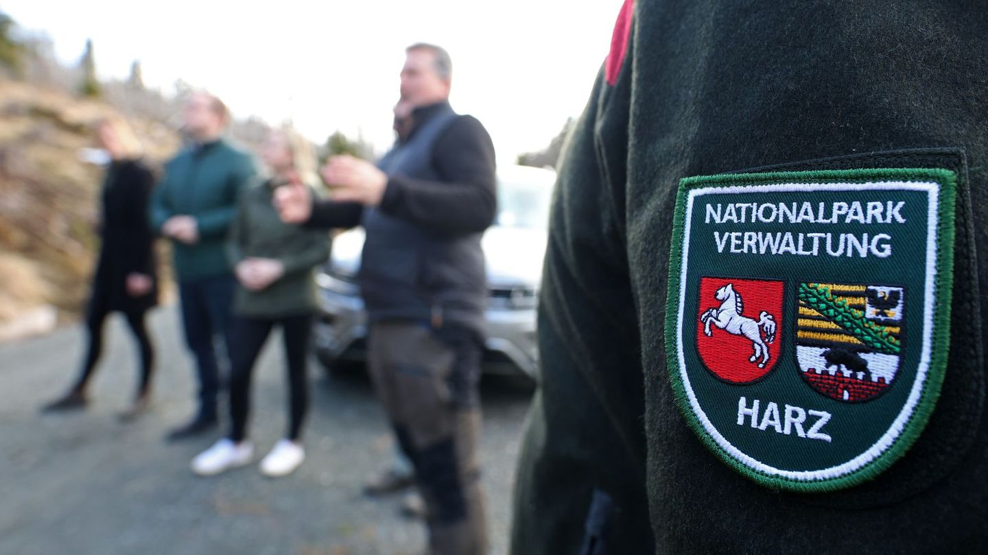 Zum April hat die Waldbrandsaison im Oberharz begonnen. Foto: Matthias Bein/dpa
