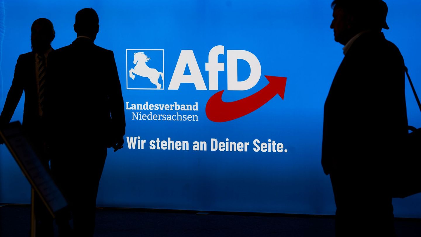 Die AfD Niedersachsen weist alle Vorwürfe zurück und beteuert, rechtmäßig gehandelt zu haben. (Archivbild) Foto: Julian Stratens