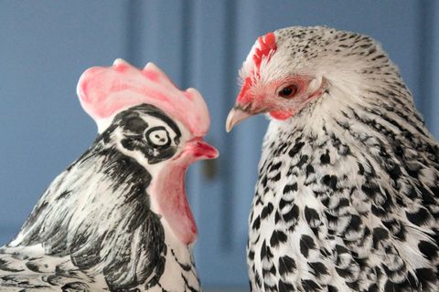 Ein Huhn schaut einen Hahn aus Porzellan an