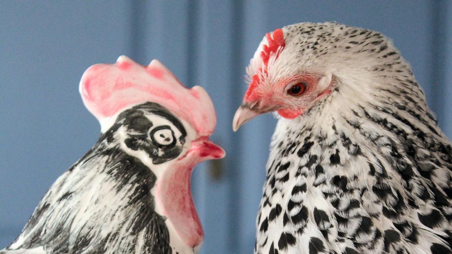 Ein Huhn schaut einen Hahn aus Porzellan an