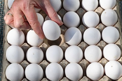 In Baden-Württemberg wurden 2025 mehr Eier erzeugt. (Symbolbild) Foto: Bernd Weißbrod/dpa