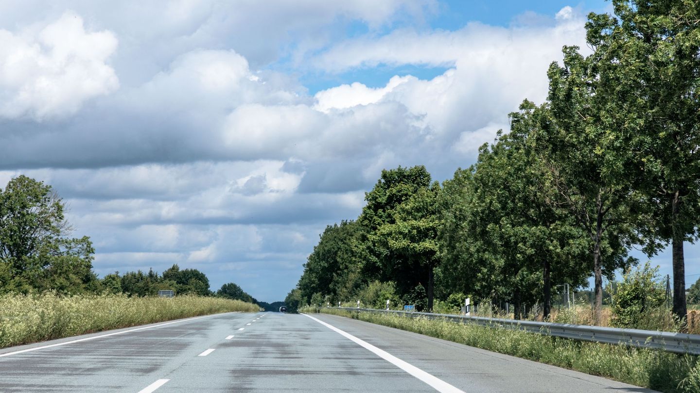 Zwischen Klein Barkau und Löptin ist ein neues Teilstück der A21 fertig. (Symbolbild) Foto: Markus Scholz/dpa