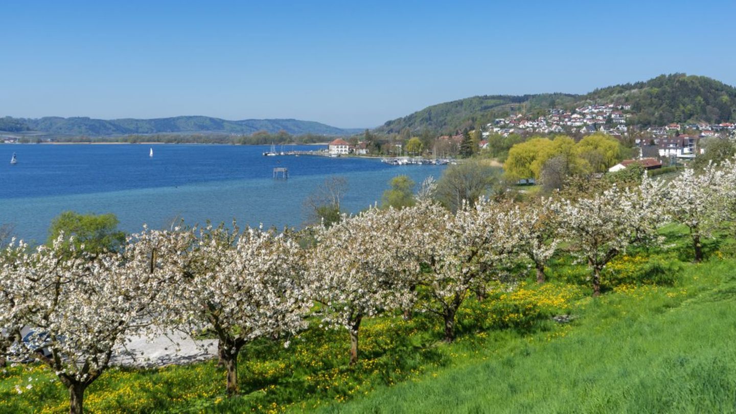 Bodensee: Marienschlucht nach elf Jahren wiedereröffnet
