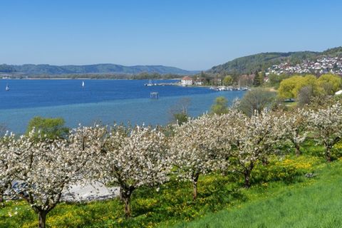 Die Marienschlucht liegt bei Bodman-Ludwigshafen am Bodensee.