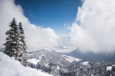 Ehrenamtliche Einsatzkräfte der Bergwacht Marktschellenberg retteten einen am Roßfeld-Skigebiet abgestürzten Hund - sie fanden i