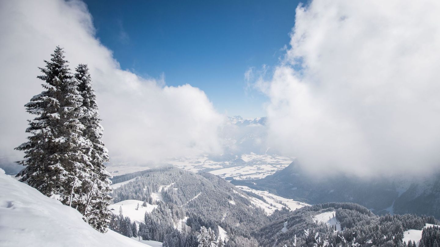 Ehrenamtliche Einsatzkräfte der Bergwacht Marktschellenberg retteten einen am Roßfeld-Skigebiet abgestürzten Hund - sie fanden i