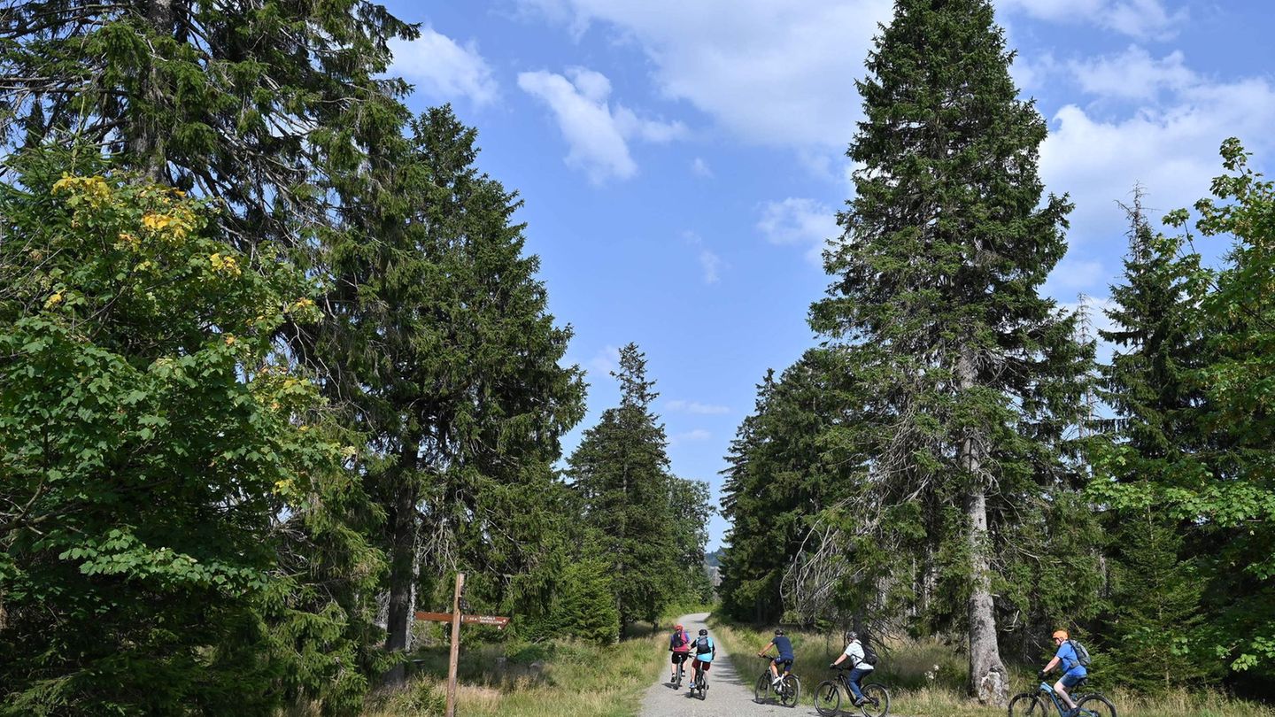Im Frühling: Urlaub mit dem Fahrrad: Diese Möglichkeiten gibt es