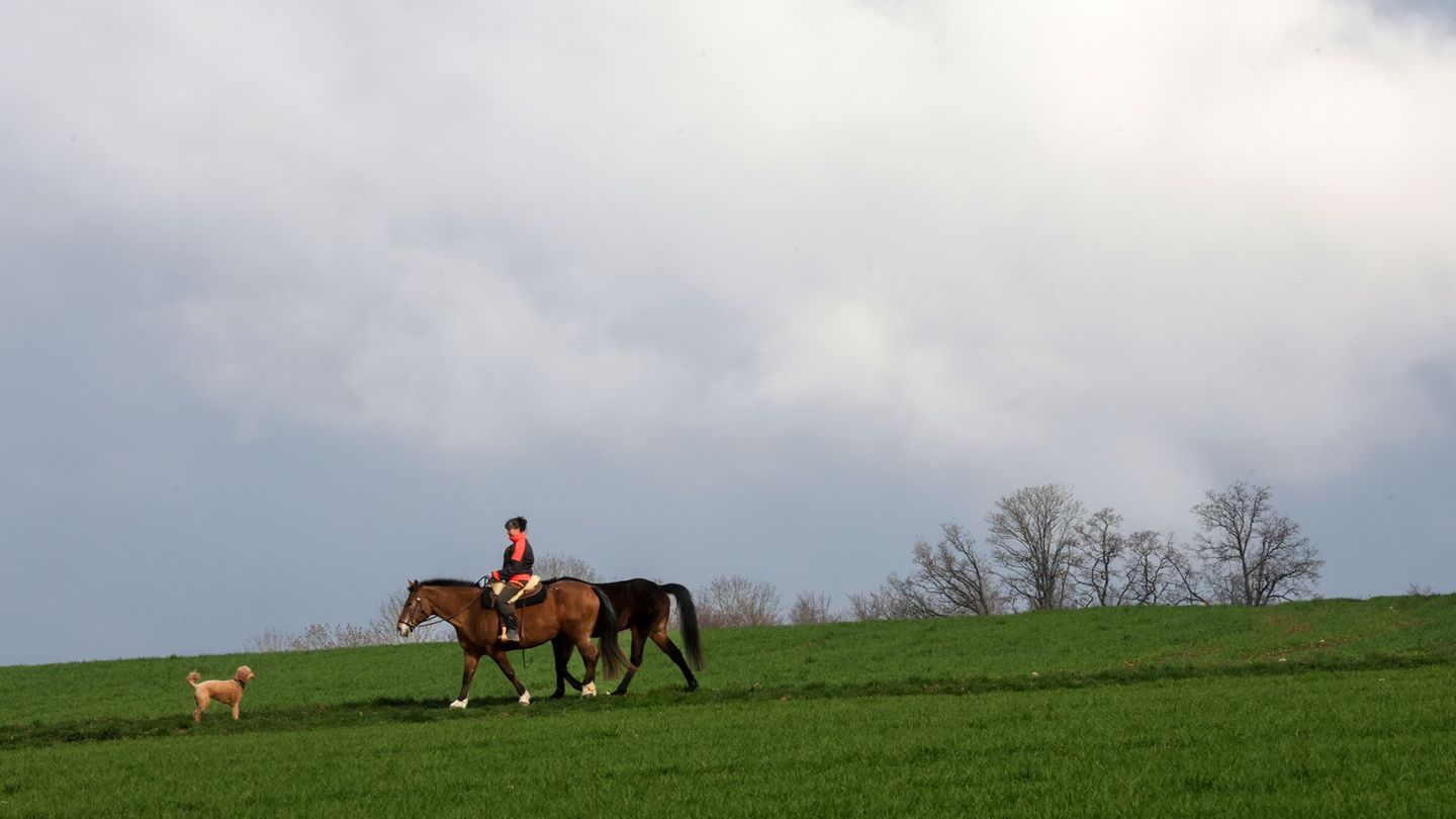 Die ersten Tage des langen Osterwochenendes werden laut DWD eher trüb. (Archivbild) Foto: Thomas Warnack/dpa