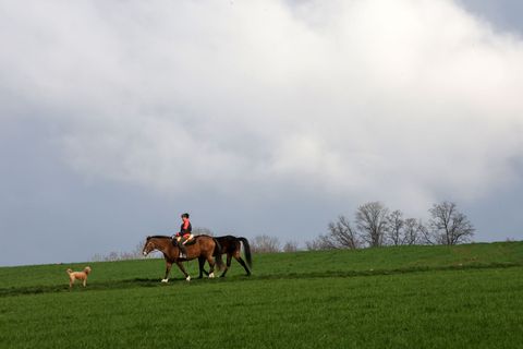 Die ersten Tage des langen Osterwochenendes werden laut DWD eher trüb. (Archivbild) Foto: Thomas Warnack/dpa