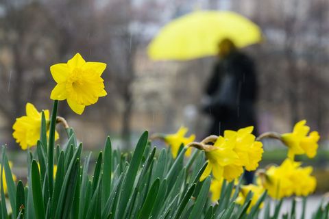 Wolkenbänder und Schauer ziehen in den nächsten Tagen immer wieder über den Freistaat. (Symbolbild) Foto: Sebastian Gollnow/dpa