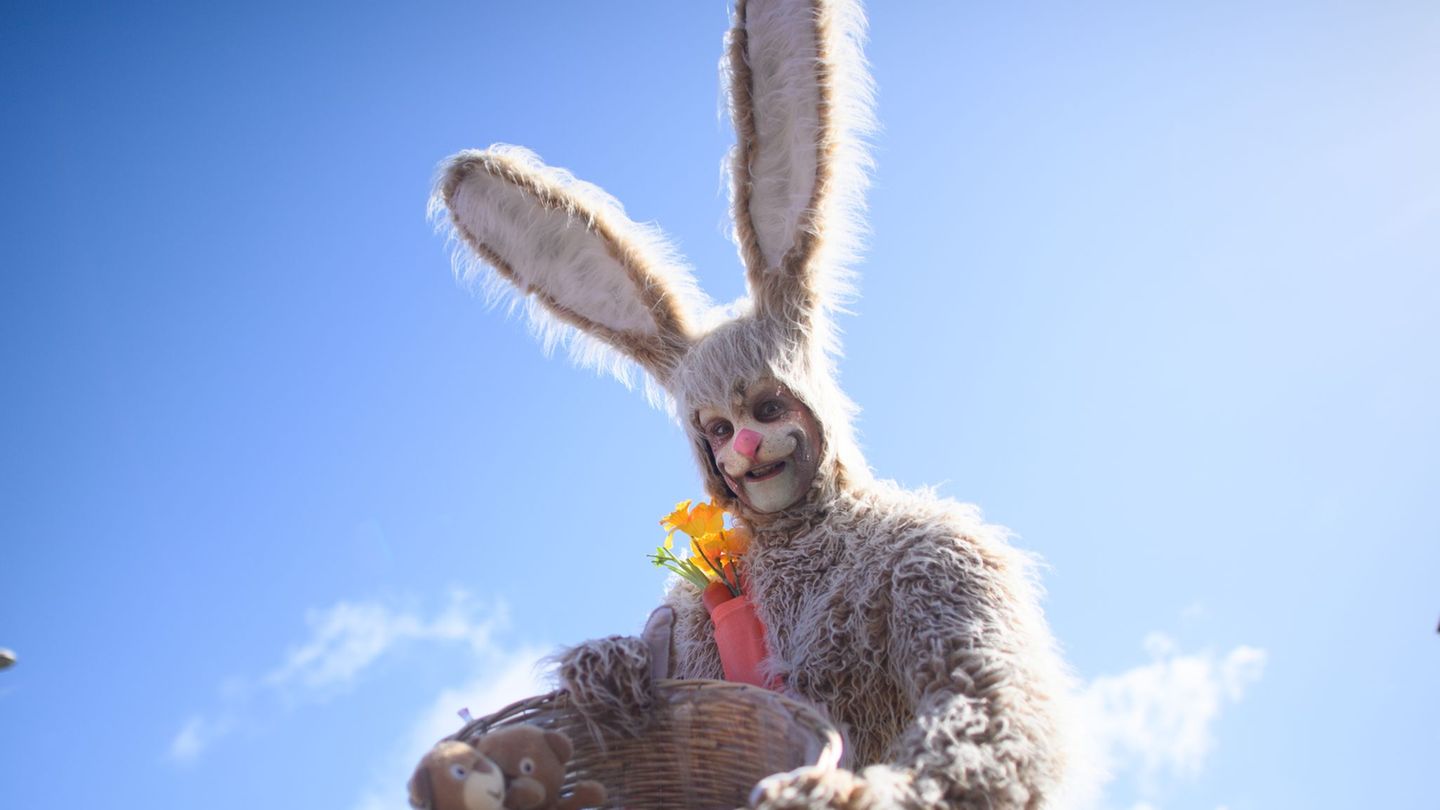 Feiertage: Osterhasen zur Miete – Warum das Langohr ins Schwitzen gerät