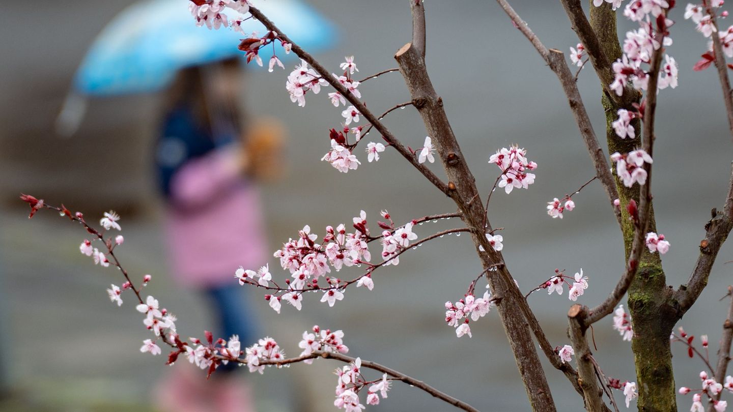 Am Ostersonntag sollen es bis zu 20 Grad werden. (Symbolbild) Foto: Benjamin Westhoff/dpa