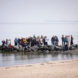 Buckelwal strandet vor dem Timmendorfer Strand. Am 23.03.26 sammeln sich etliche Schaulustige am Wasser.