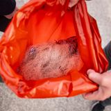 Netze und Leinen, die vom Wal entfernt wurden