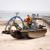 Da das Tier sich nicht selbst befreit, läuft eine Rettungsaktion an