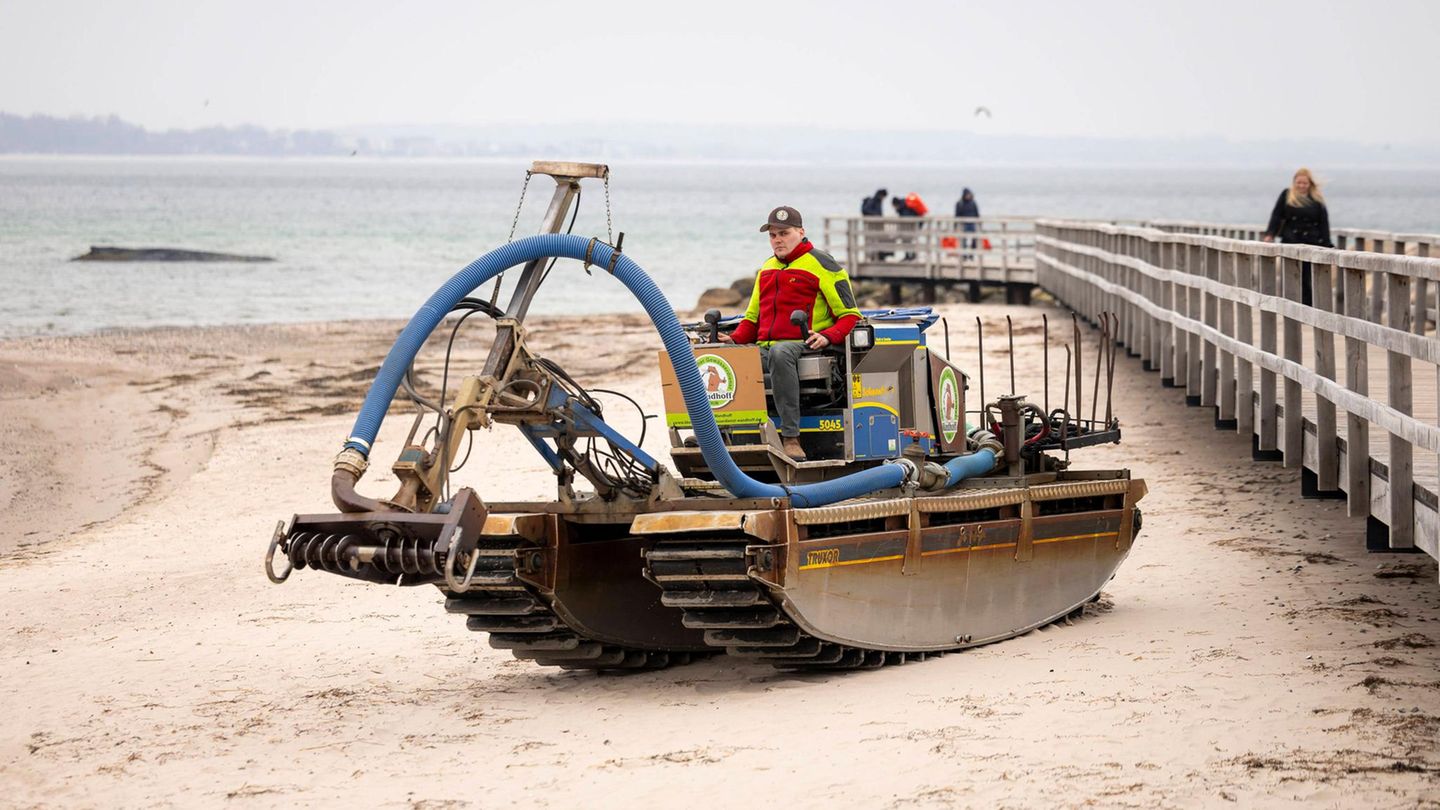 Da das Tier sich nicht selbst befreit, läuft eine Rettungsaktion an