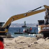 Bagger graben dem Wal eine Rinne von der Sandbank in tieferes Wasser