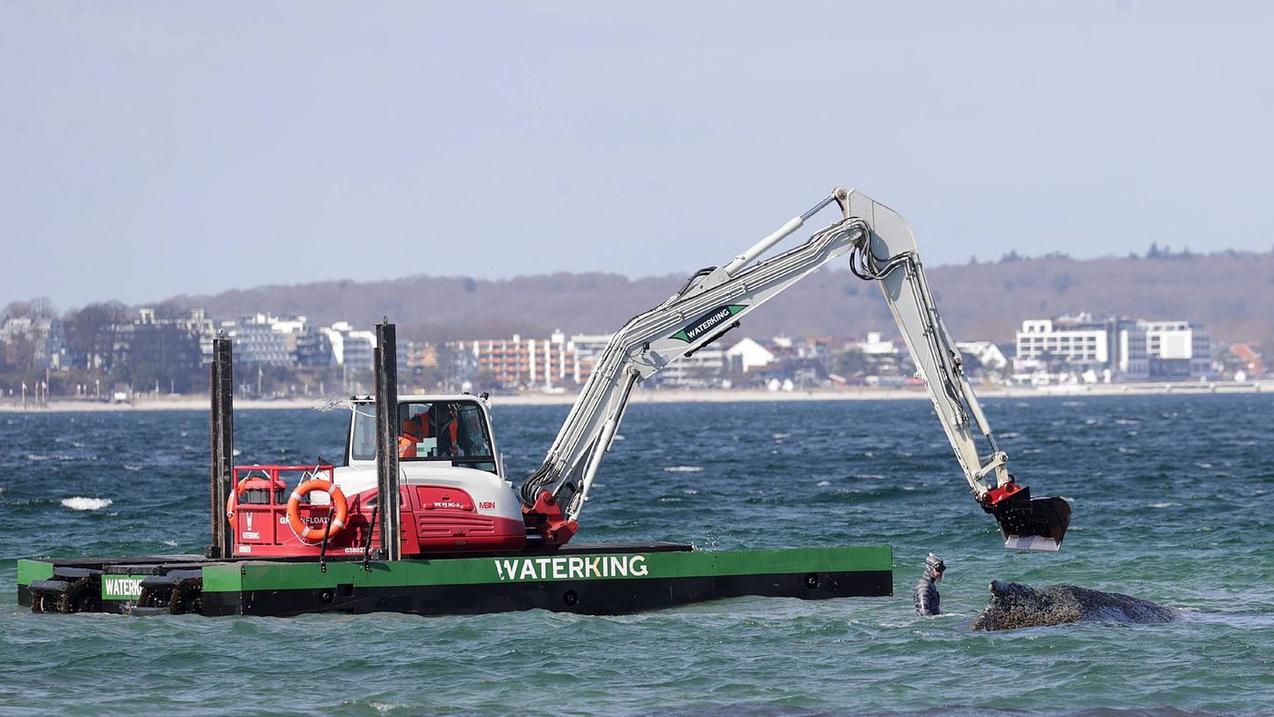 Rettungsaktion vor Timmendorf