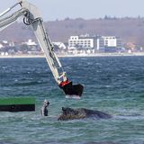 Rettungsaktion vor Timmendorf