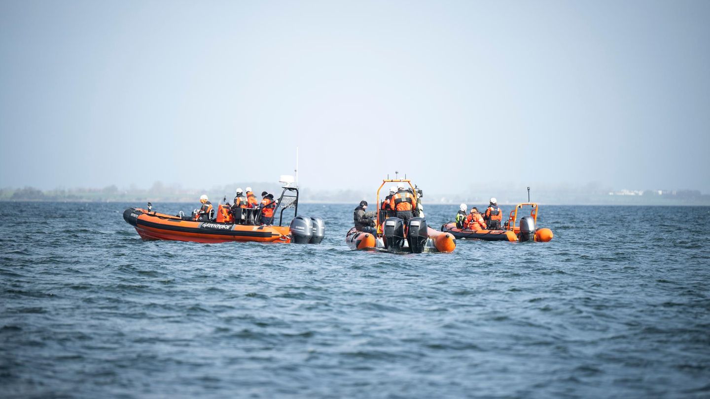 Schließlich verschwand das Tier über Nacht aus der Lübecker Bucht, strandete dann allerdings vor Wismar erneut. Das zunehmend geschwächte Tier wird nach Expertenmeinung nun dort sterben.