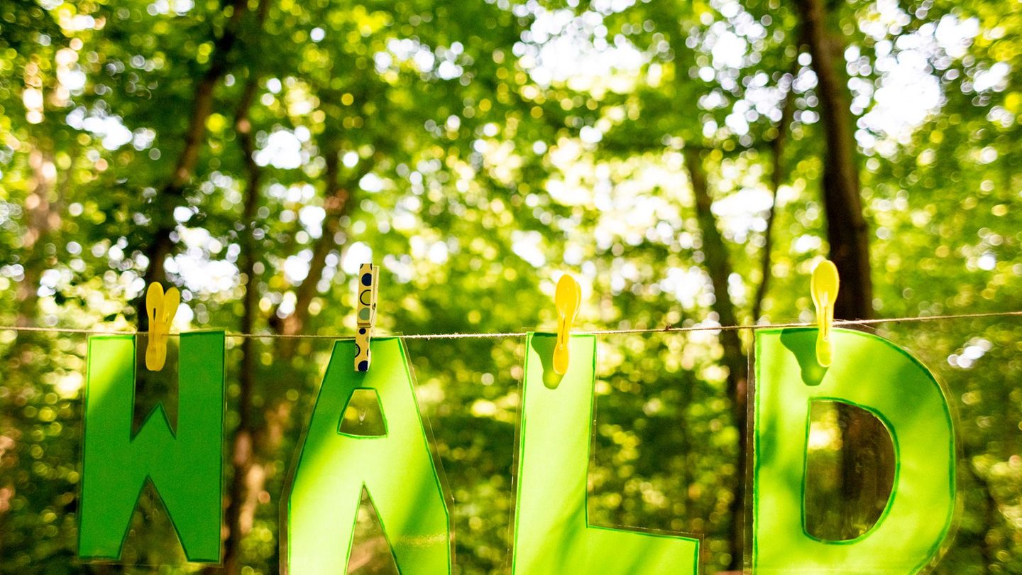 Die Thüringer Waldjugendspiele finden seit 1992 statt. (Archivbild) Foto: Christoph Soeder/dpa