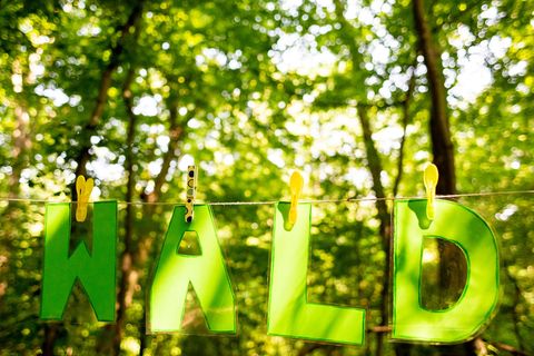 Die Thüringer Waldjugendspiele finden seit 1992 statt. (Archivbild) Foto: Christoph Soeder/dpa