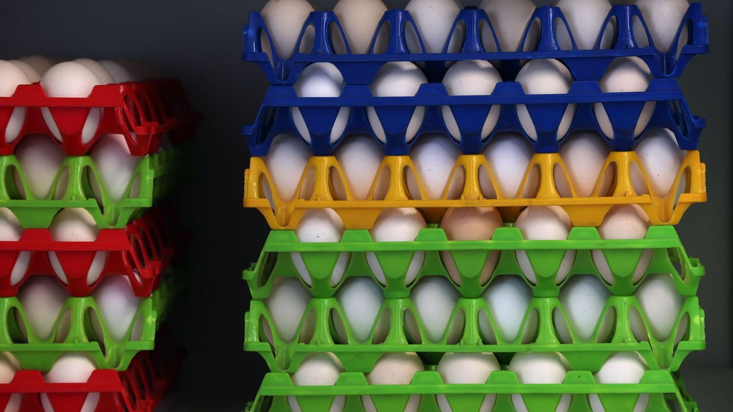 In Bayern gibt es eine große Nachfrage nach Bio-Eiern. (Symbolbild) Foto: Karl-Josef Hildenbrand/dpa
